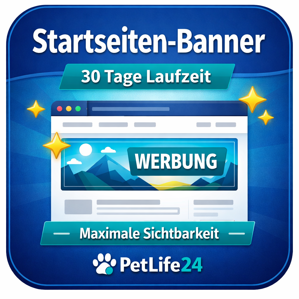 Werbung schalten