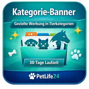 Kategorie‑Banner – 1 Monat