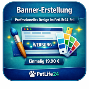 Banner‑Erstellung – 19,90 €